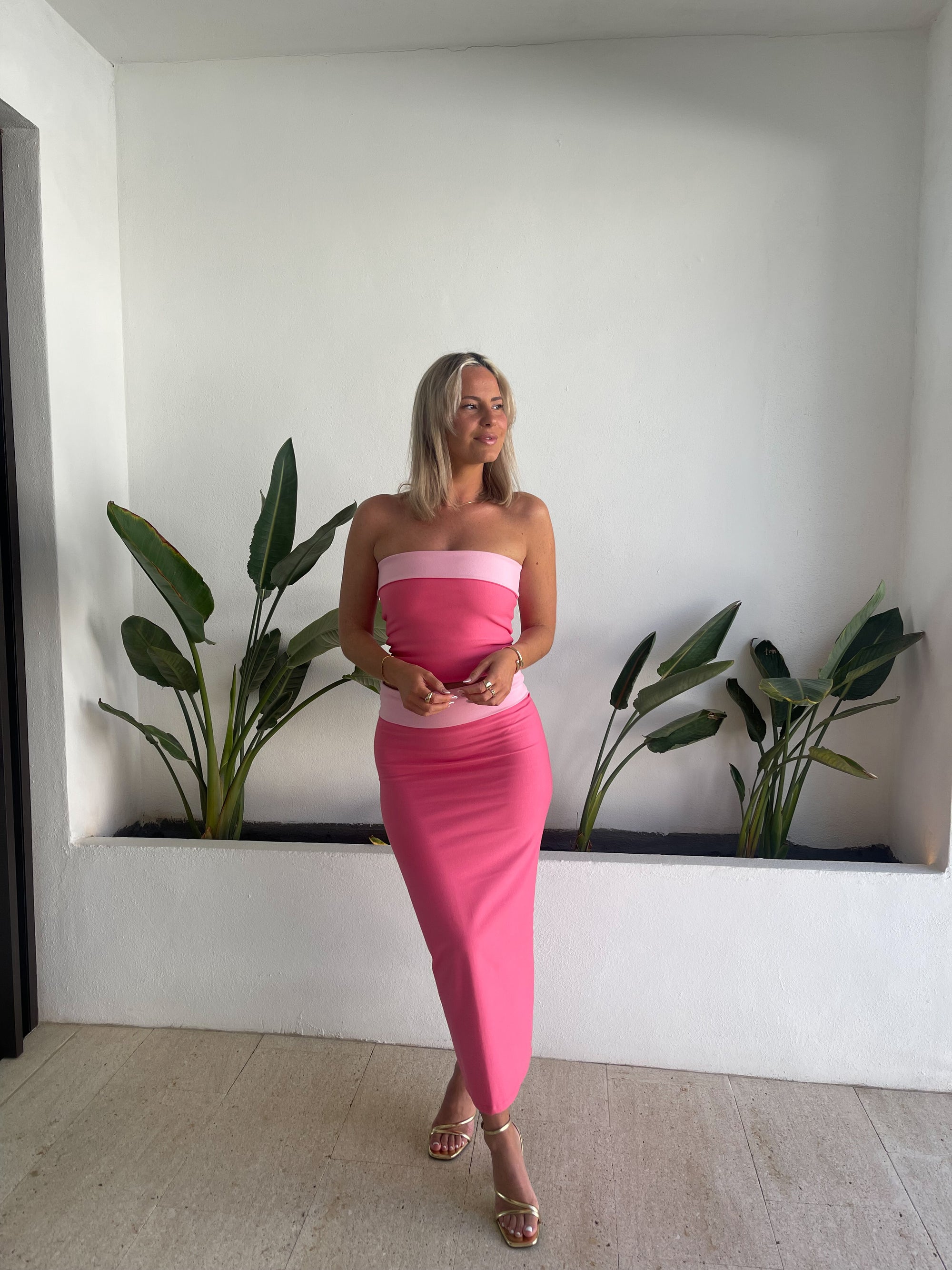 Raspberry top